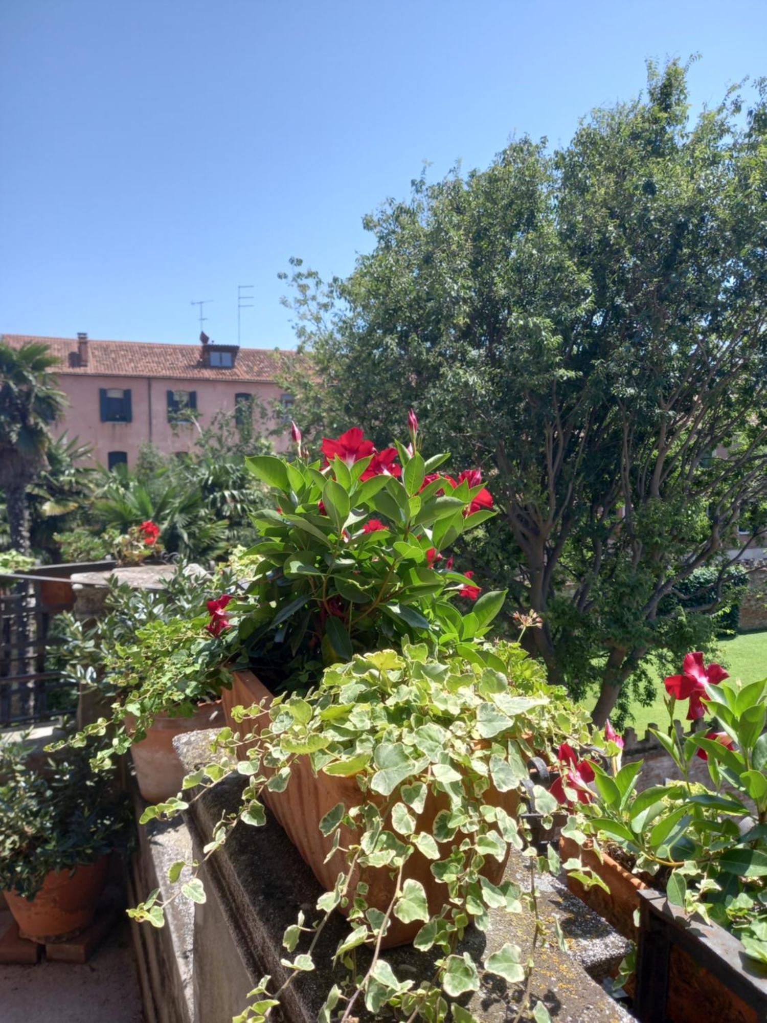 Giudecca Palanca 664 Apartamento Venecia